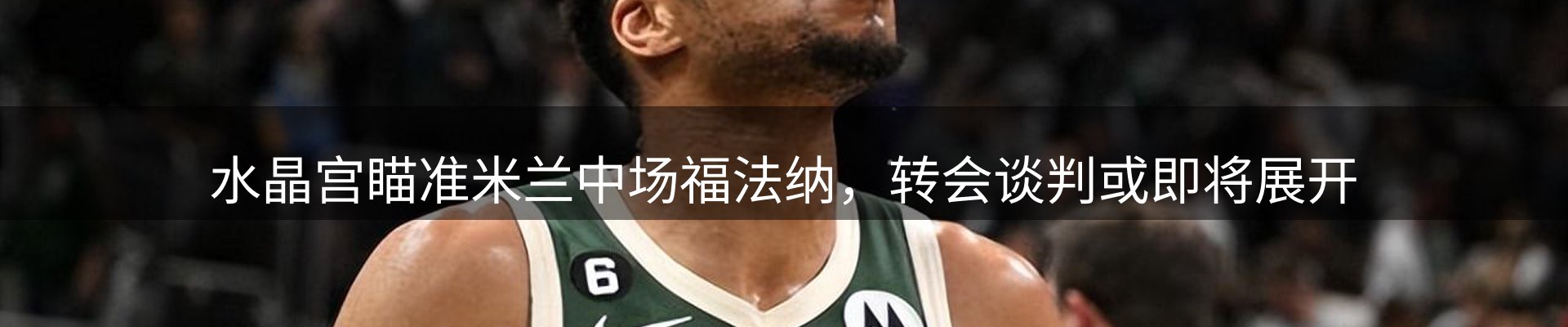 体育资讯