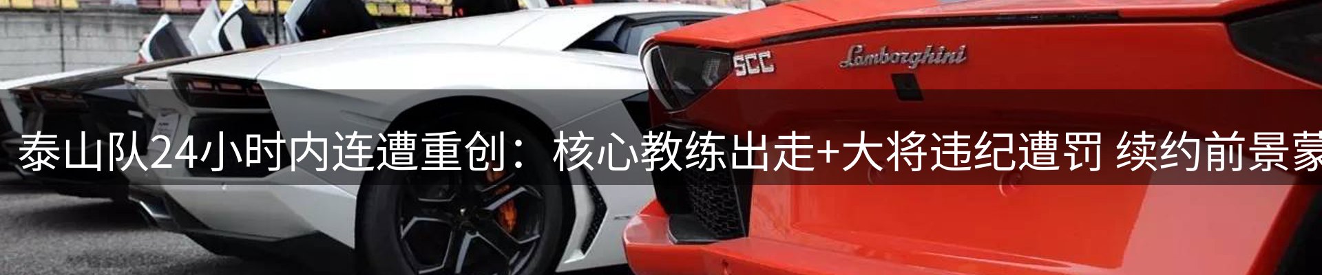 体育资讯